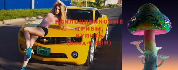 герыч Верхний Тагил