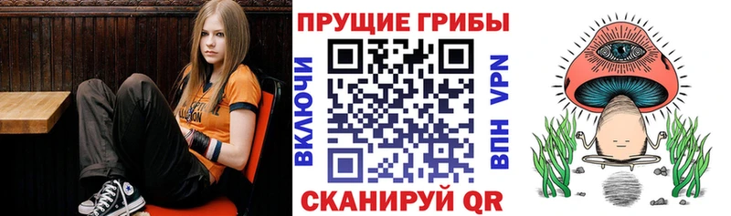 даркнет официальный сайт  цена наркотик  Лыткарино  Псилоцибиновые грибы мицелий 